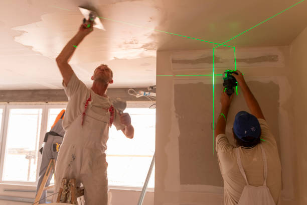 Best Drywall Removal and Disposal  in Brooksi, DE