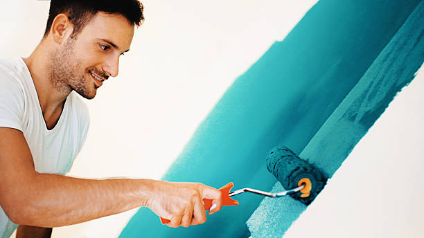 Best Eco-Friendly and Low-VOC Painting  in Brooksi, DE